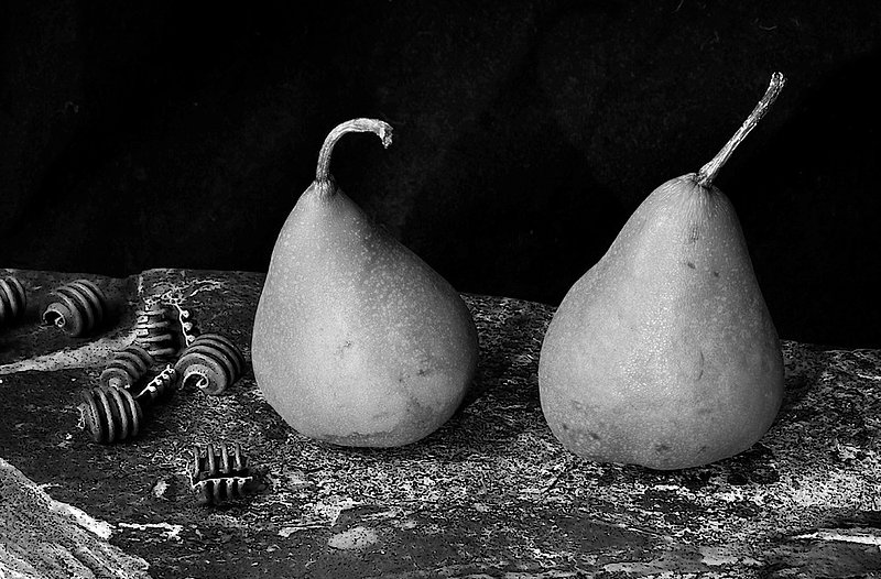 Bosc Doublets BW.jpg