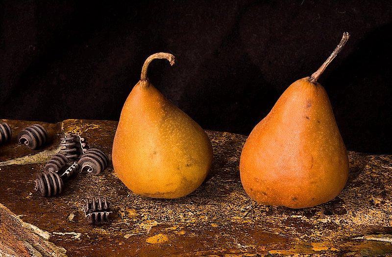 Bosc Doublets.jpg :: Bosc pears. Love to shoot them, then eat them! Took these during a still life workshop in Lexington, VA in 2010. We looked at several paintings from the old Dutch masters and I loved the warm tones they captured. Got that same feeling with these.
