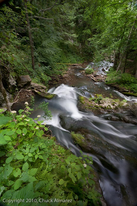 Cascades-RCC-10.jpg :: RCC, outing, Cascades Gorge, 2011