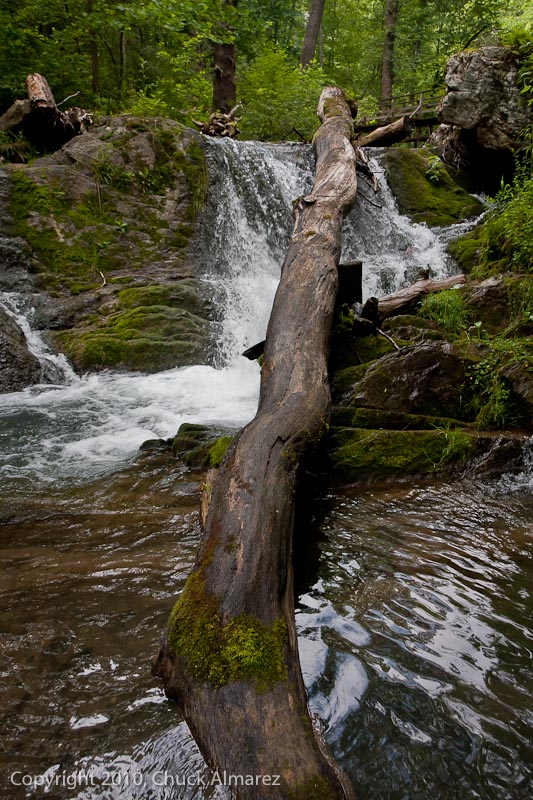 Cascades-RCC-8.jpg :: RCC, outing, Cascades Gorge, 2011