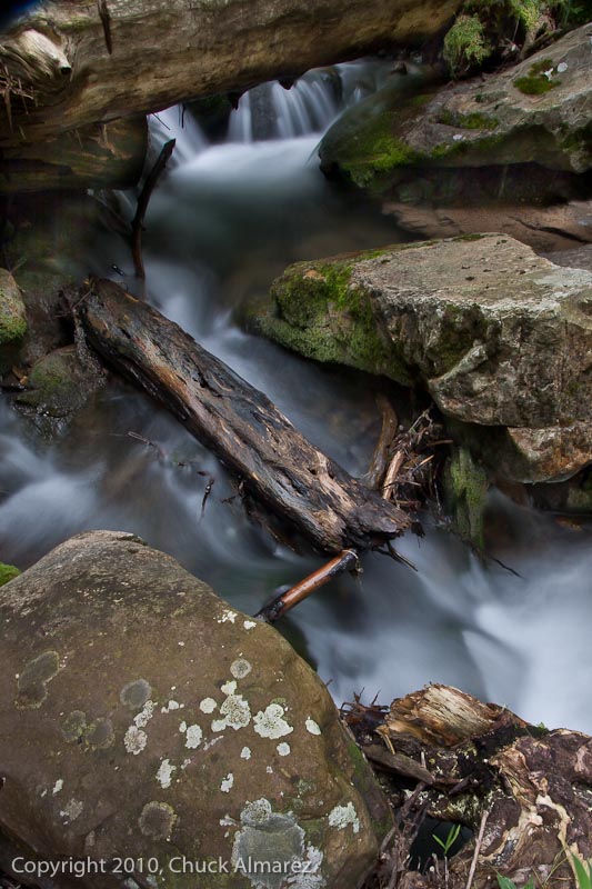 Cascades-RCC-9.jpg :: RCC, outing, Cascades Gorge, 2011