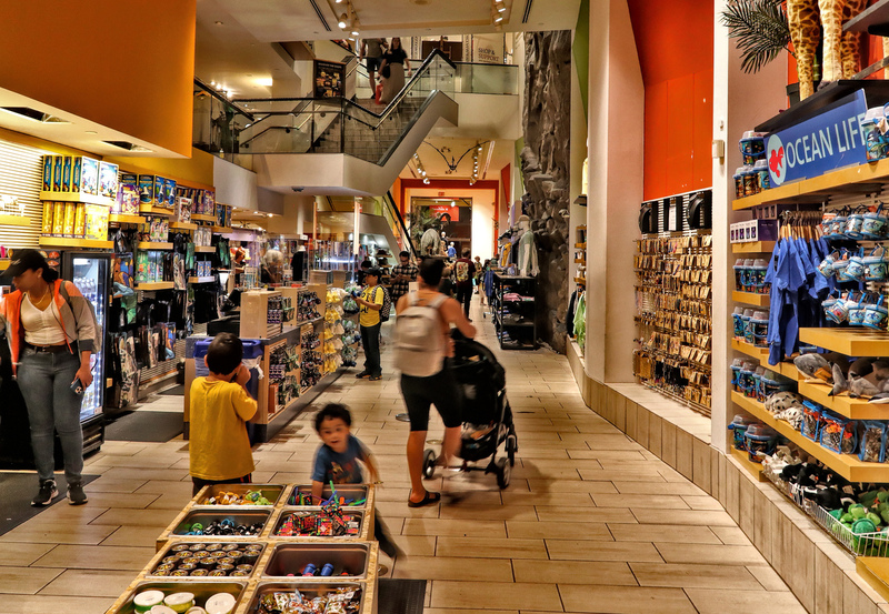 AMNH Gift Shop 03A .jpg