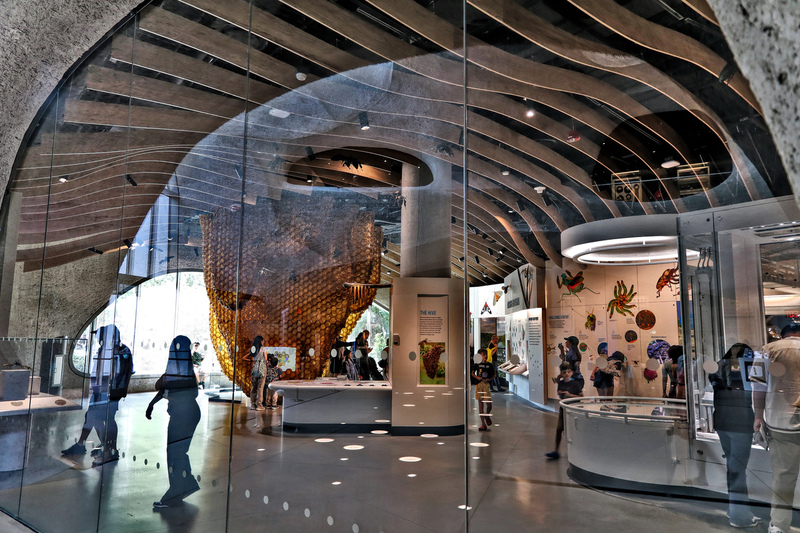 AMNH GilderHall 06A .jpg