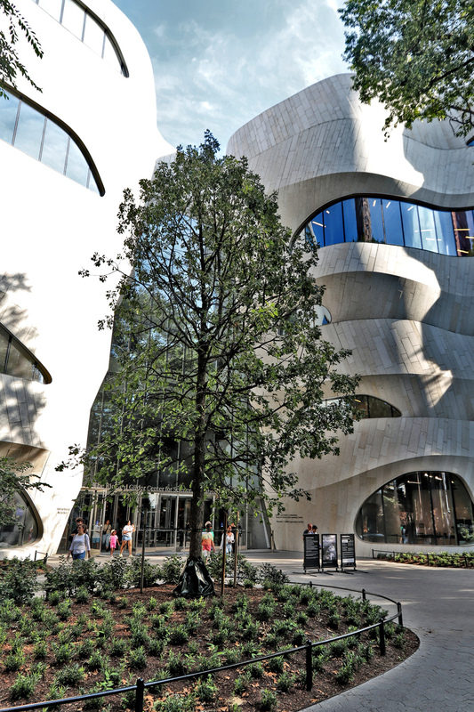 AMNH GilderHall 11A.jpg