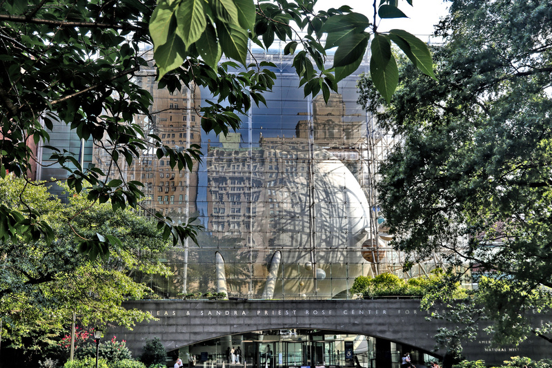 AMNH Rose Center 01A .jpg