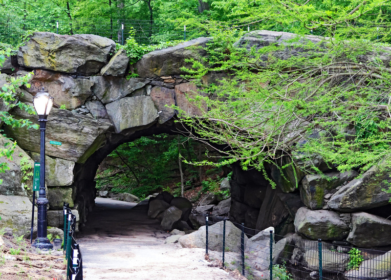 CentralPk DavisCenter Ravine 01A.jpg