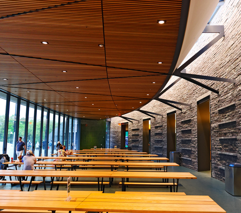 CentralPk DavisCenter Rink 03A.jpg