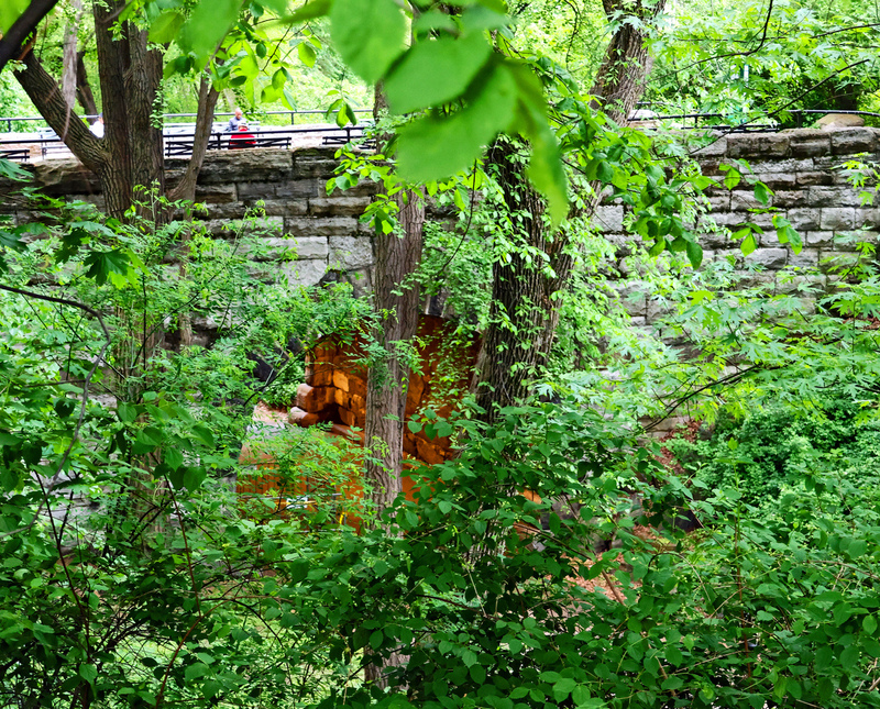 CentralPk DavisCenter Underpass 01A.jpg