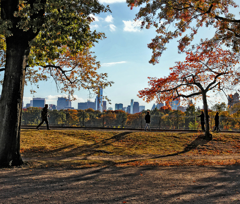 DQ CentralPark Great Meadow 06A.jpg