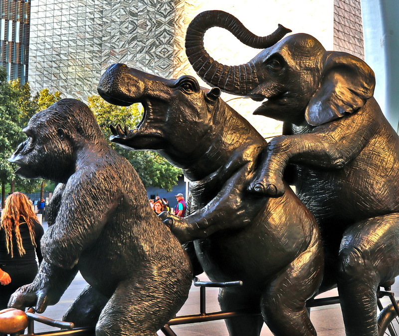 Downtown Sunset Animals 04A(1).jpg
