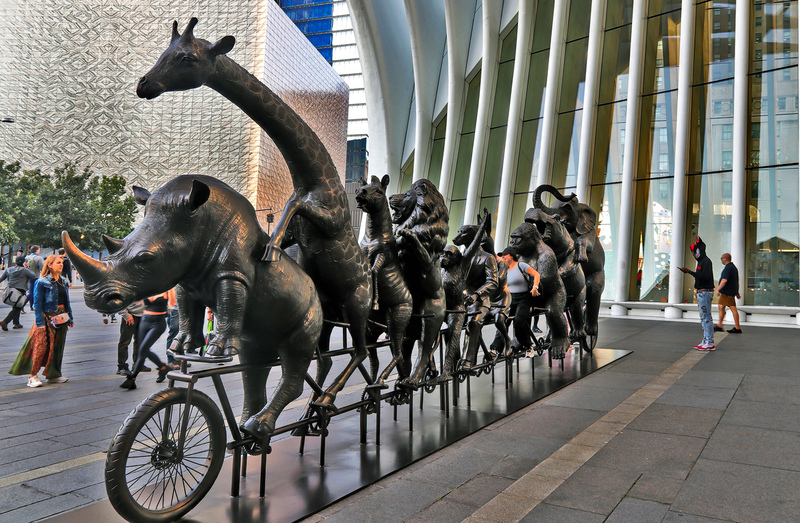 Downtown Sunset Animals 09A(1).jpg