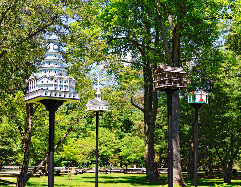 Laurel Highlands Kentuck Knob Bird Houses 01A.jpg