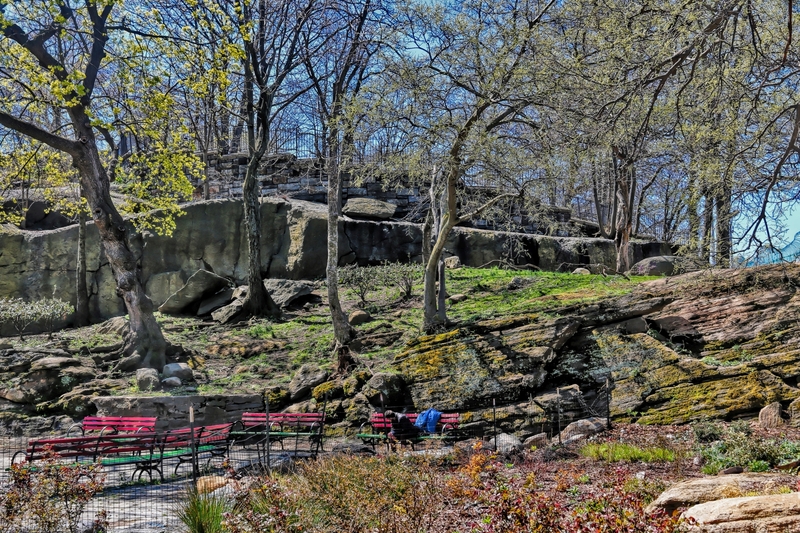 Marcus Garvey Park 01A.jpg