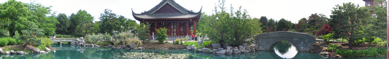 Montreal garden 2.jpg