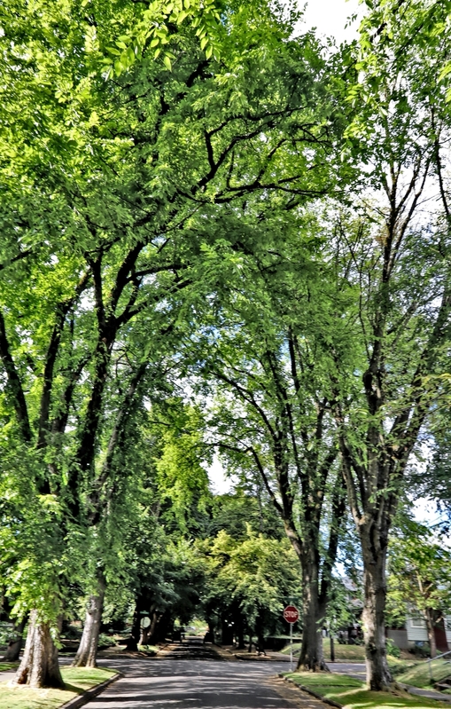 Oregon Portland neighborhood 01A.jpg