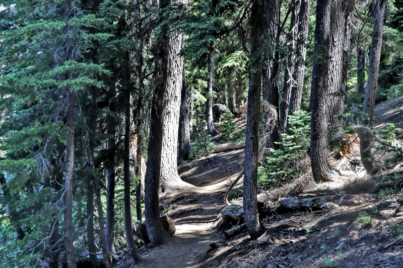 Oregon Todd Lake 09A.jpg