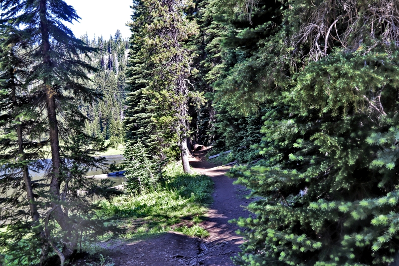 Oregon Todd Lake 16A.jpg