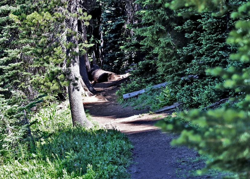 Oregon Todd Lake 17A.jpg