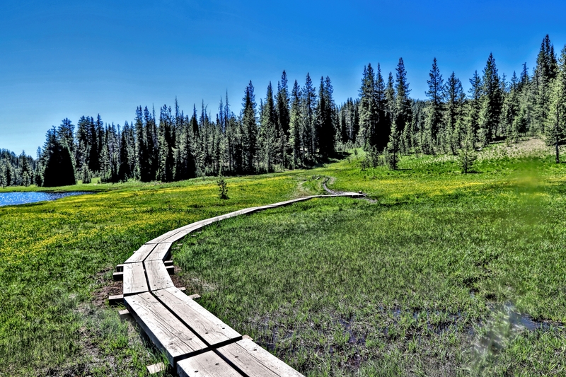 Oregon Todd Lake 22A.jpg