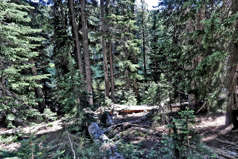 Oregon Todd Lake 23A.jpg