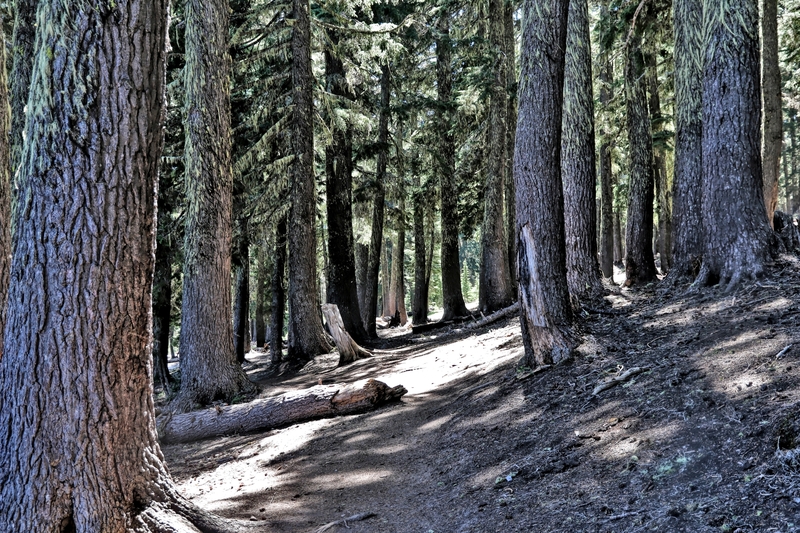 Oregon Todd Lake 25A.jpg