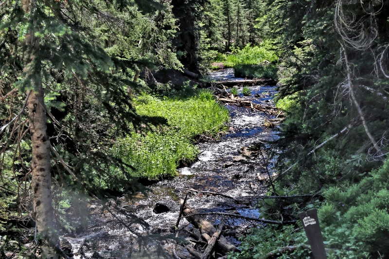 Oregon Todd Lake 26A.jpg