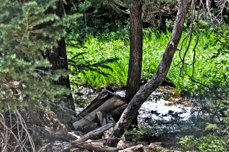 Oregon Todd Lake 27A.jpg