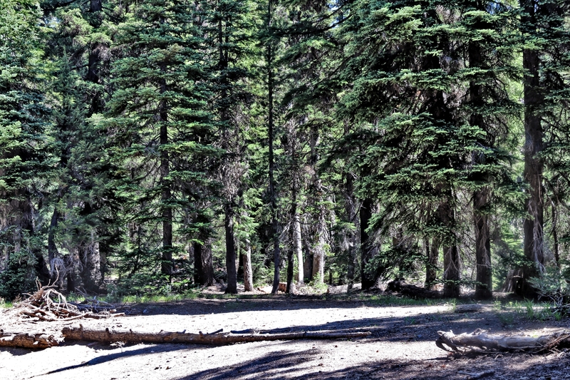 Oregon XXX Lake 01A.jpg