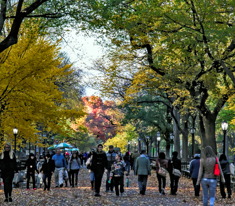 SQ CentralPark Mall 05A.jpg
