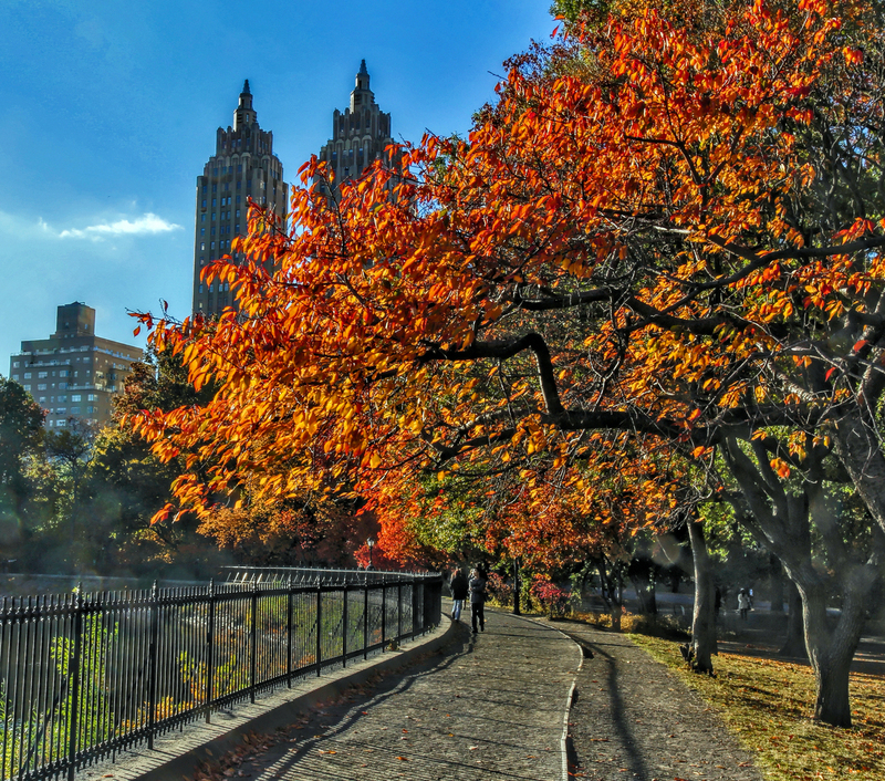 SQ Fall CentralPark reservoir 01A.jpg