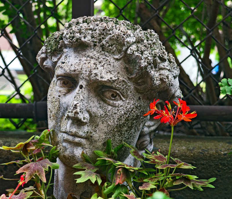 SQ Flower Spring Hero 01A.jpg