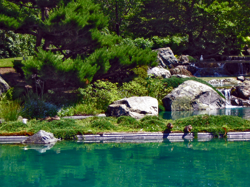 SQ Montreal Japanese Gardens 06A.jpg