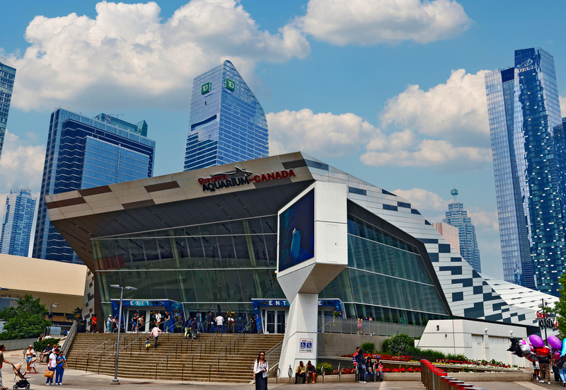 Toronto Ripleys Acquarium 0111B.jpg