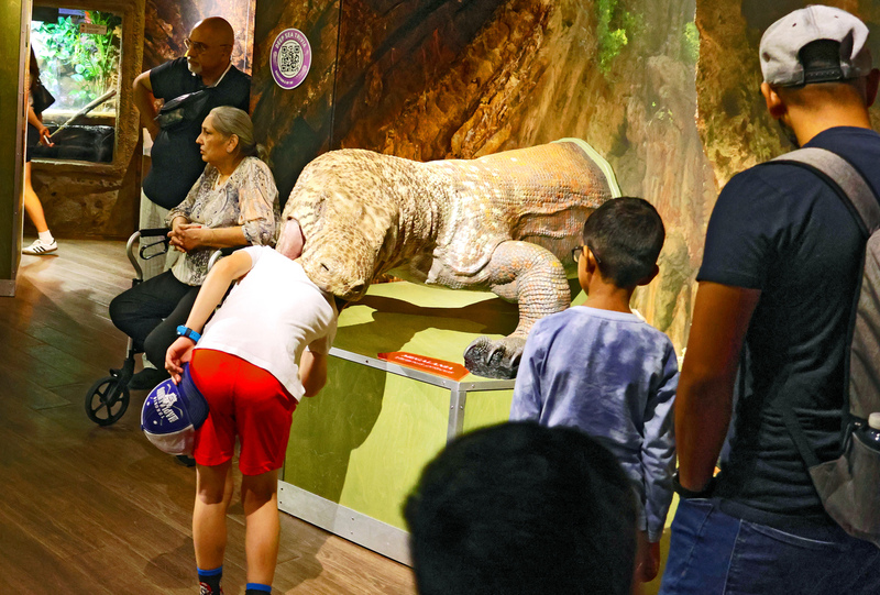 Toronto Ripleys Acquarium 017A.jpg