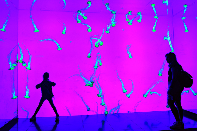 Toronto Ripleys Acquarium 020A.jpg