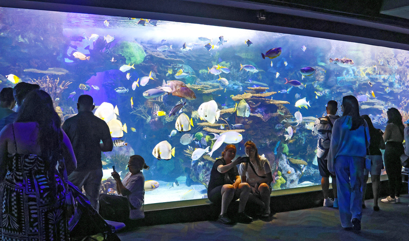 Toronto Ripleys Acquarium 06A.jpg
