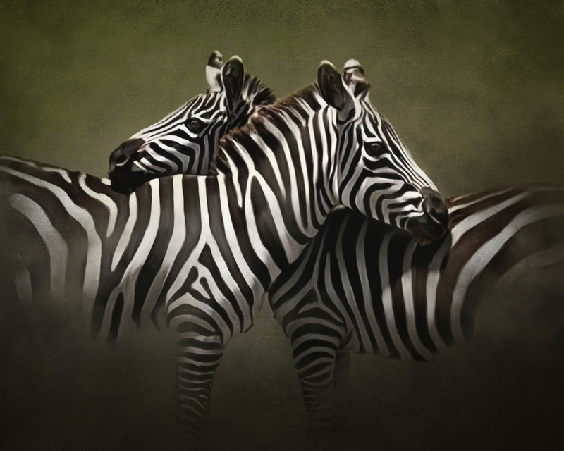 083-Zebra Final.jpg