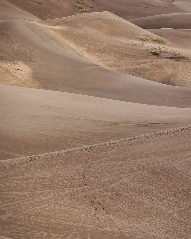 214-Starlite21 SandDunes-3971.jpg