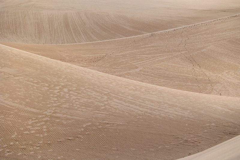221-Starlite21 SandDunes-4025.jpg