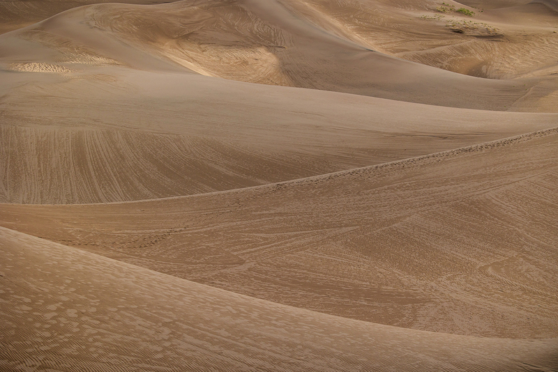 222-Starlite21 SandDunes-4028.jpg