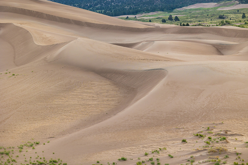 224-Starlite21 SandDunes-4034.jpg