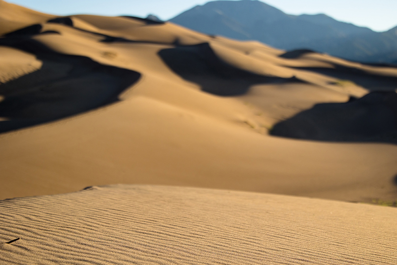 274-Starlite21 SandDunes-4381.jpg
