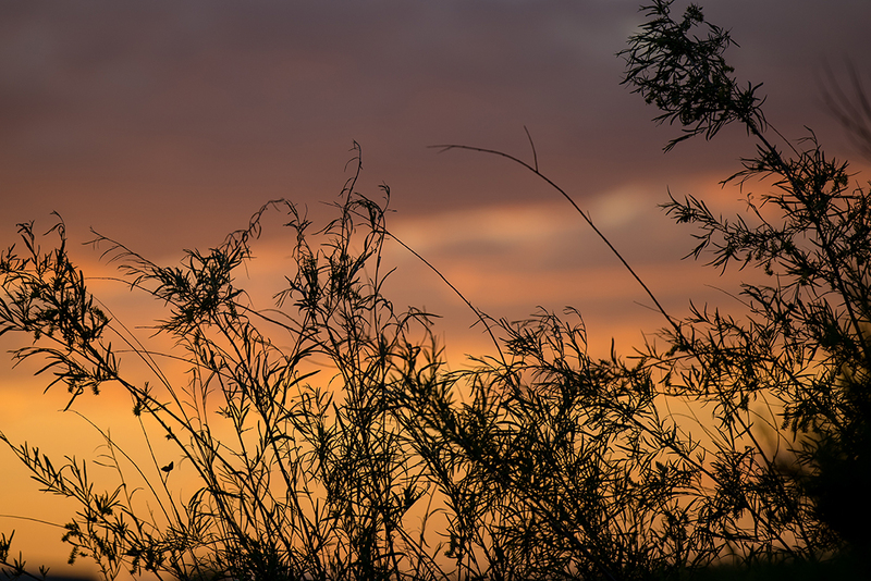 284-Wildlife Ref CO-4442.jpg