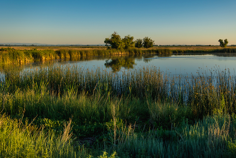 298-Wildlife Ref CO-4533.jpg