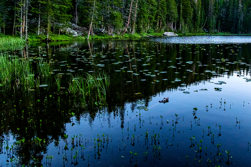 337-G of G and RMNP LR-5222.jpg