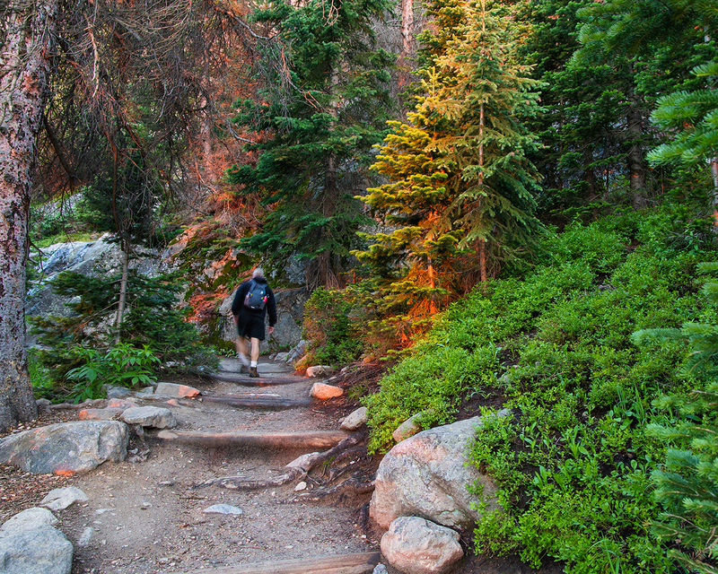 344-G of G and RMNP LR-5295.jpg