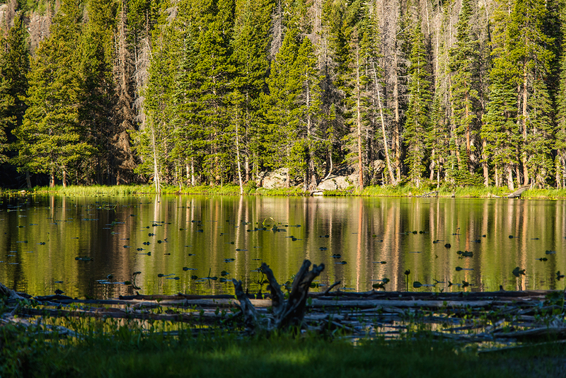 383-G of G and RMNP LR-5616.jpg