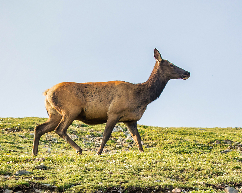 406-RMNP drive LR-5912.jpg