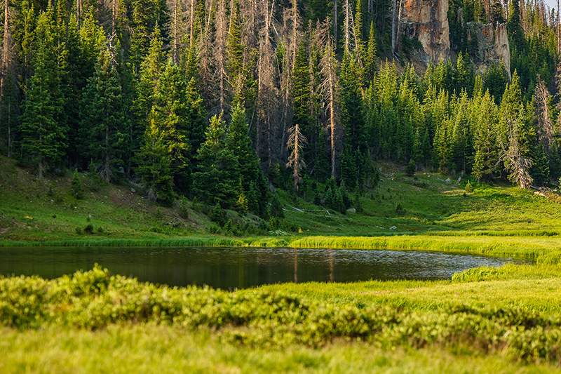 420-RMNP drive LR-5992.jpg