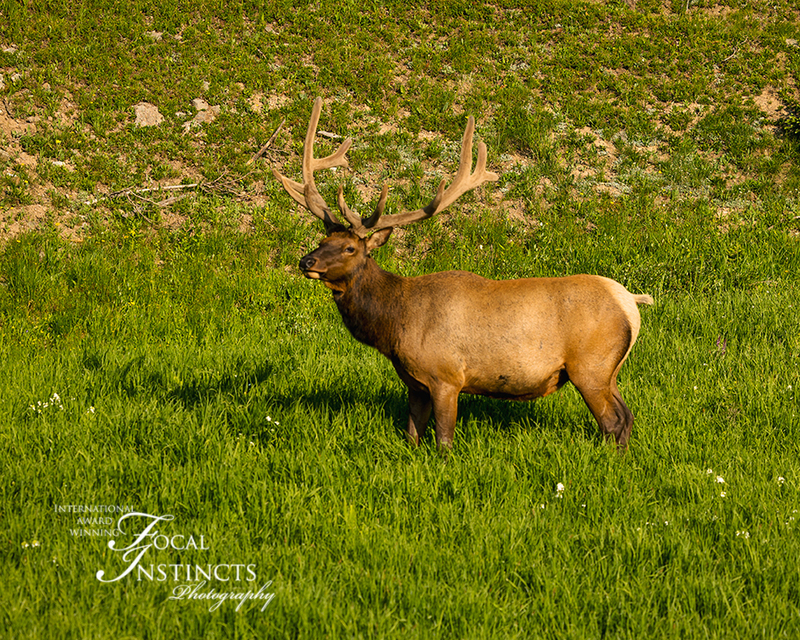 426-RMNP drive LR-6058.jpg